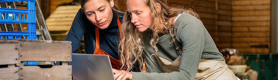 Online Banking Firmenkunden Volksbank Leonberg Strohgau Eg